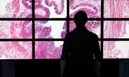 £10m investment for AI & digital pathology