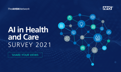 The AI in Health and Care Survey 2021