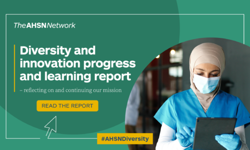 Diversity and innovation progress and learning report