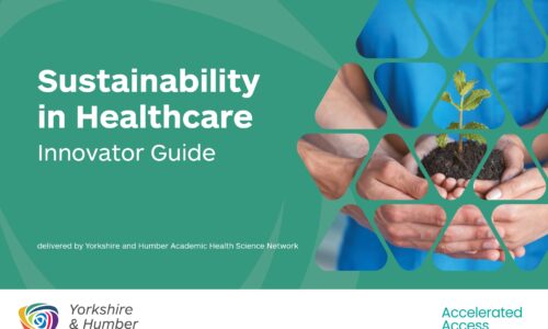 Sustainability in Healthcare: Innovator guide